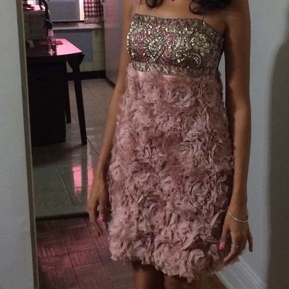 Sue Wong Blush Dress - Picture 7 of 7